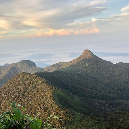 Hotel Mango Tree Nearest Adam'S Peak Nallathanniya Zewnętrze zdjęcie