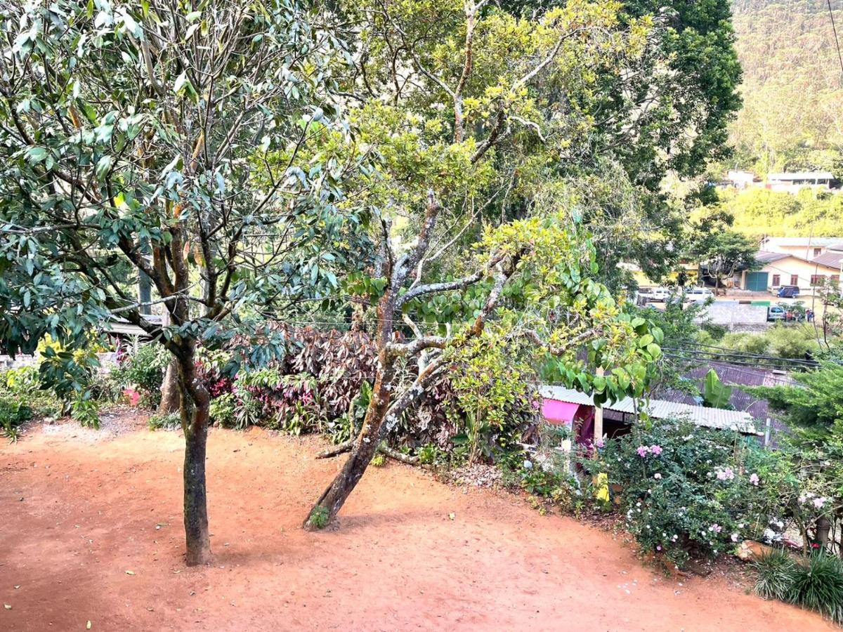 Hotel Mango Tree Nearest Adam'S Peak Nallathanniya Zewnętrze zdjęcie