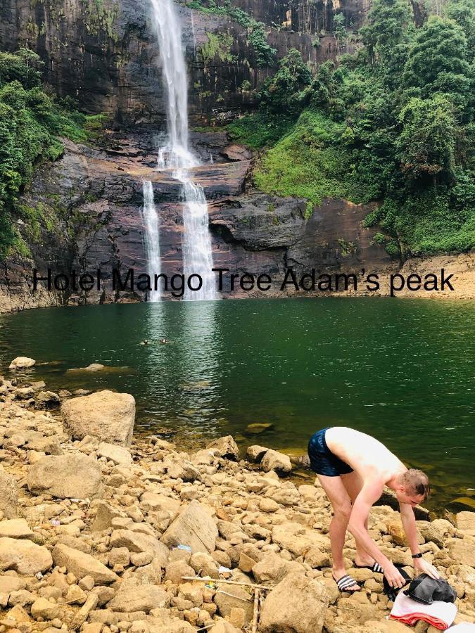 Hotel Mango Tree Nearest Adam'S Peak Nallathanniya Zewnętrze zdjęcie