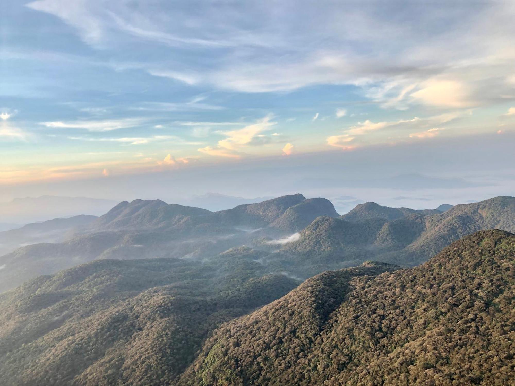 Hotel Mango Tree Nearest Adam'S Peak Nallathanniya Zewnętrze zdjęcie