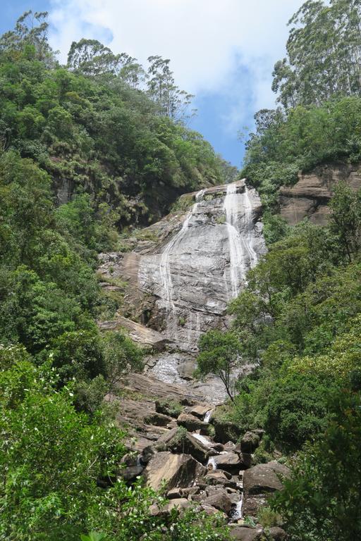 Hotel Mango Tree Nearest Adam'S Peak Nallathanniya Zewnętrze zdjęcie