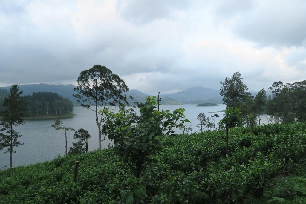 Hotel Mango Tree Nearest Adam'S Peak Nallathanniya Zewnętrze zdjęcie