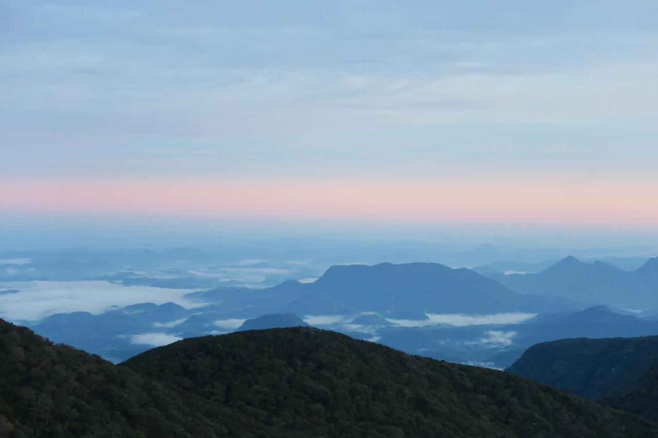 Hotel Mango Tree Nearest Adam'S Peak Nallathanniya Zewnętrze zdjęcie